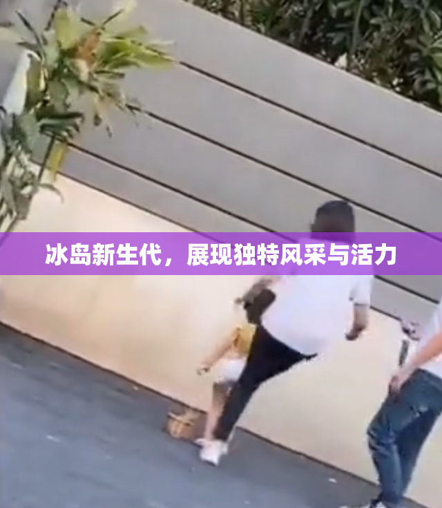 冰岛新生代，展现独特风采与活力