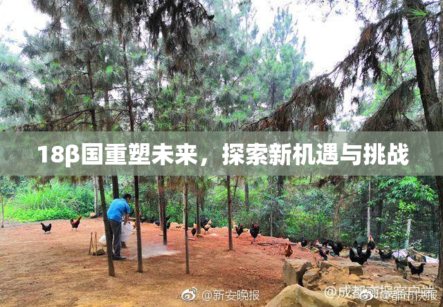 18β国重塑未来，探索新机遇与挑战