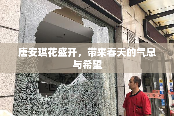 唐安琪花盛开，带来春天的气息与希望