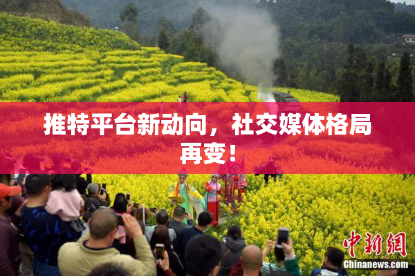 推特平台新动向，社交媒体格局再变！