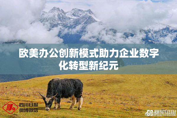 欧美办公创新模式助力企业数字化转型新纪元