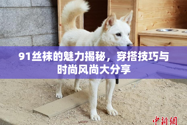 91丝袜的魅力揭秘，穿搭技巧与时尚风尚大分享