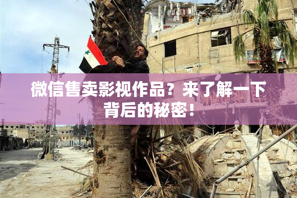 微信售卖影视作品？来了解一下背后的秘密！