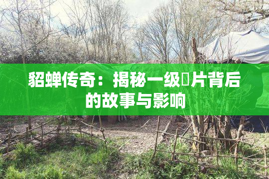 貂蝉传奇：揭秘一级婬片背后的故事与影响