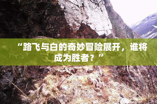 “路飞与白的奇妙冒险展开，谁将成为胜者？”