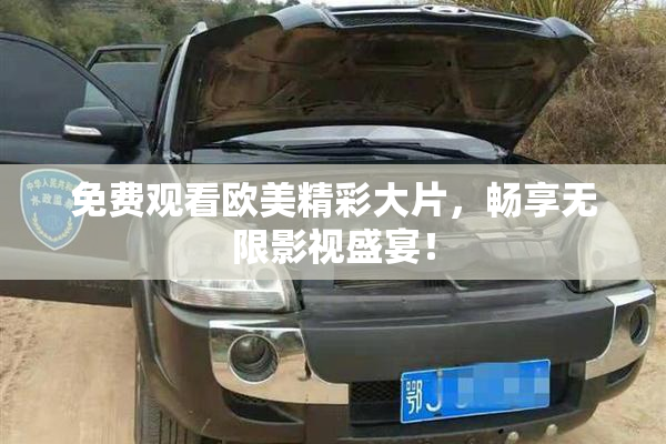 免费观看欧美精彩大片，畅享无限影视盛宴！