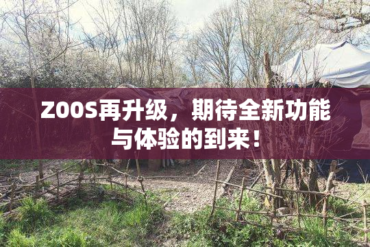 Z00S再升级，期待全新功能与体验的到来！