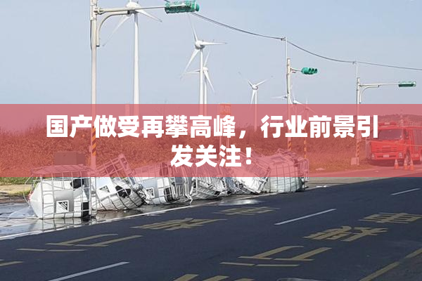 国产做受再攀高峰，行业前景引发关注！