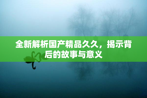 全新解析国产精品久久，揭示背后的故事与意义