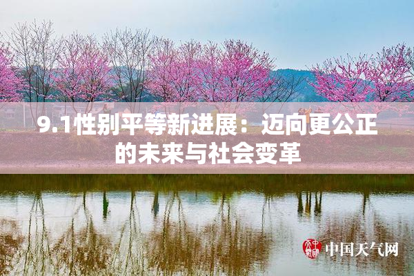 9.1性别平等新进展：迈向更公正的未来与社会变革