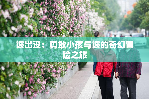 熊出没：勇敢小孩与熊的奇幻冒险之旅