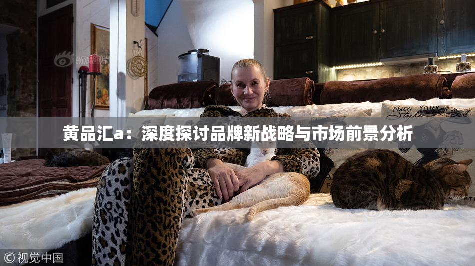 黄品汇a：深度探讨品牌新战略与市场前景分析