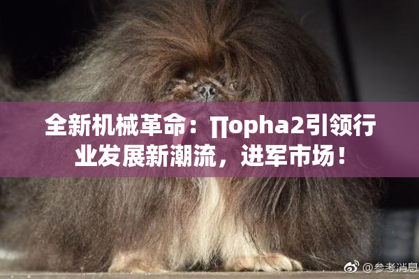 全新机械革命：∏opha2引领行业发展新潮流，进军市场！