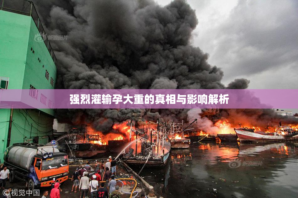 强烈灌输孕大重的真相与影响解析