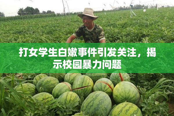 打女学生白嫩事件引发关注，揭示校园暴力问题
