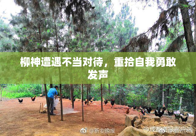 柳神遭遇不当对待，重拾自我勇敢发声
