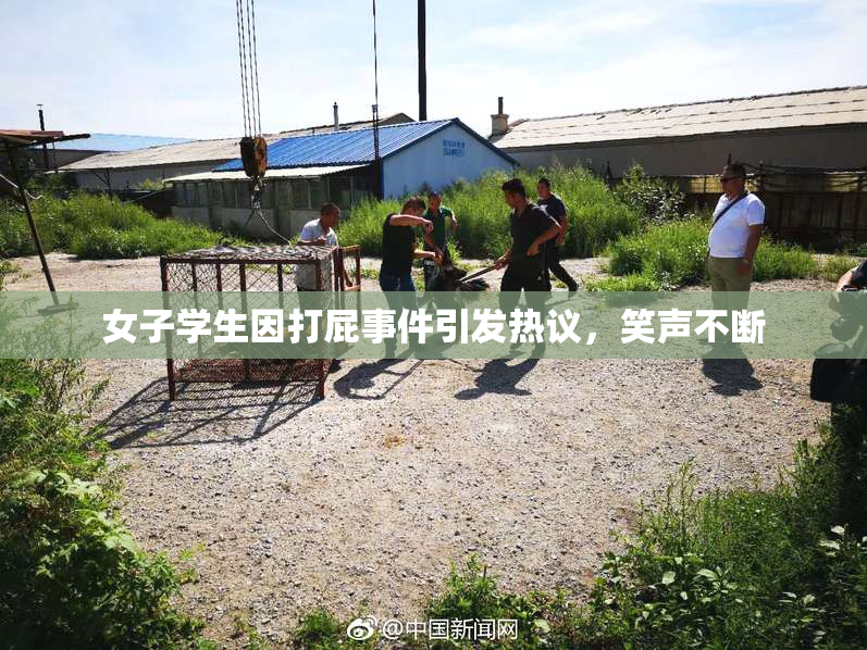 女子学生因打屁事件引发热议，笑声不断