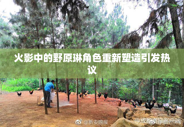 火影中的野原琳角色重新塑造引发热议