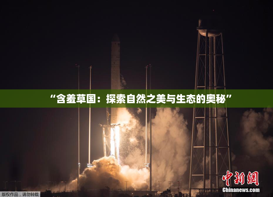 “含羞草国：探索自然之美与生态的奥秘”