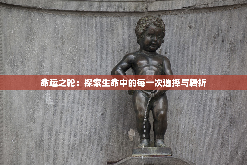 命运之轮：探索生命中的每一次选择与转折