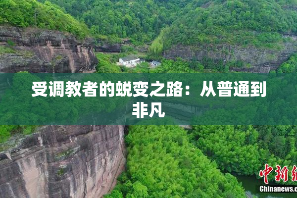 受调教者的蜕变之路：从普通到非凡