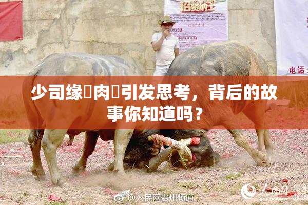 少司缘婬肉泬引发思考，背后的故事你知道吗？