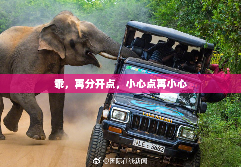 乖，再分开点，小心点再小心