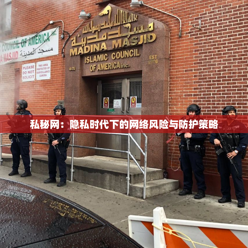 私秘网：隐私时代下的网络风险与防护策略