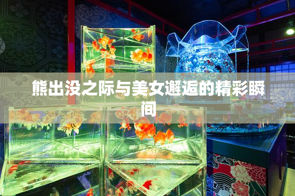 熊出没之际与美女邂逅的精彩瞬间