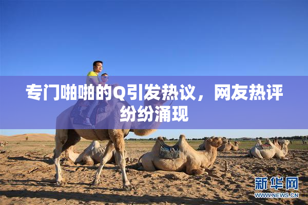 专门啪啪的Q引发热议，网友热评纷纷涌现