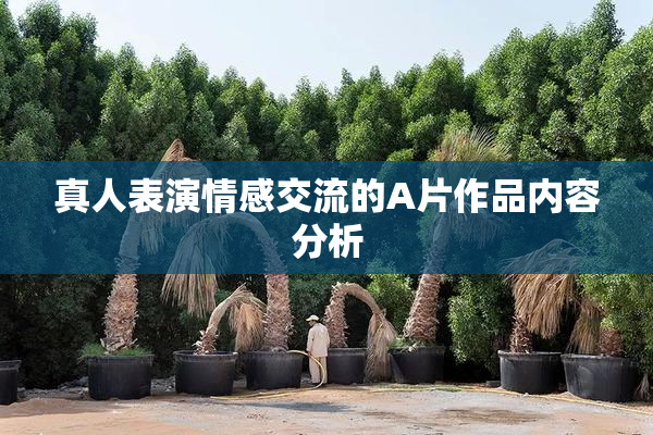真人表演情感交流的A片作品内容分析