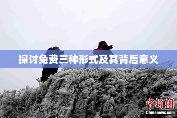 探讨免费三种形式及其背后意义