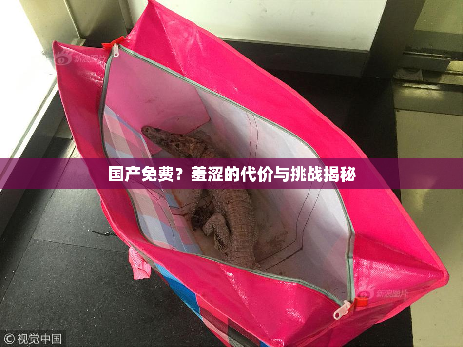 国产免费？羞涩的代价与挑战揭秘