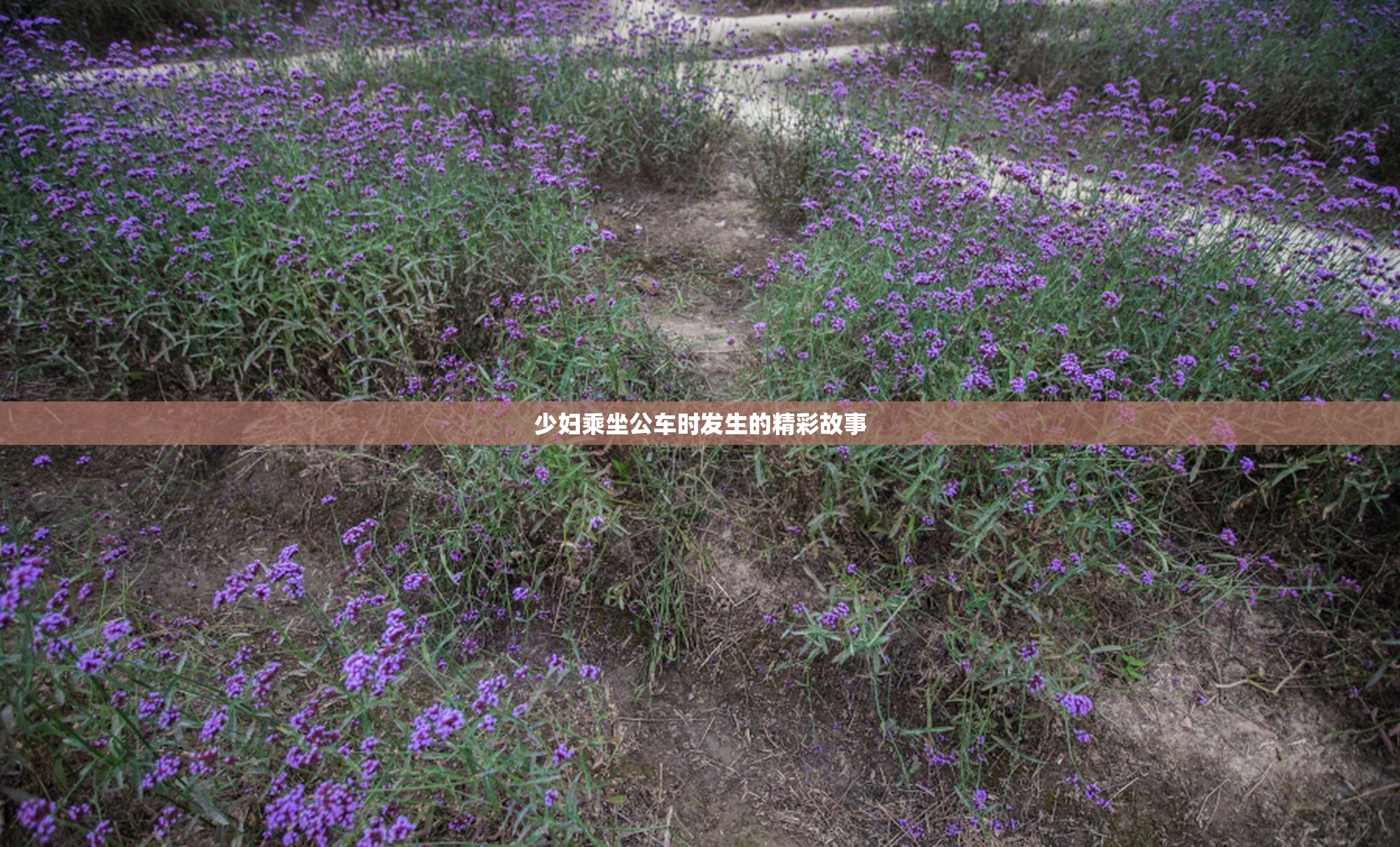 少妇乘坐公车时发生的精彩故事