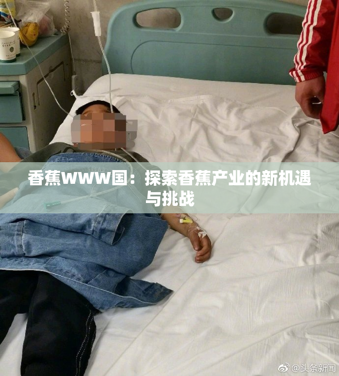 香蕉WWW国：探索香蕉产业的新机遇与挑战