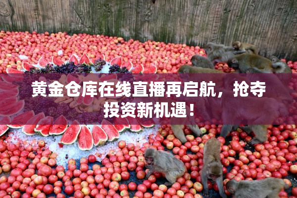 黄金仓库在线直播再启航，抢夺投资新机遇！