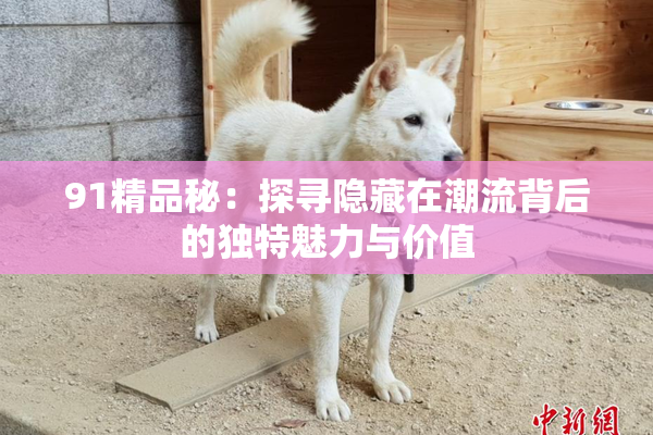 91精品秘：探寻隐藏在潮流背后的独特魅力与价值