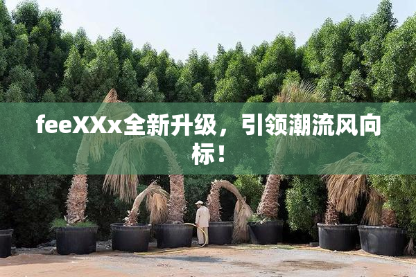 feeXXx全新升级，引领潮流风向标！
