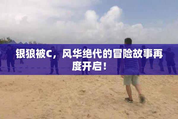 银狼被C，风华绝代的冒险故事再度开启！