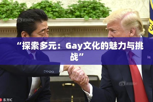 “探索多元：Gay文化的魅力与挑战”