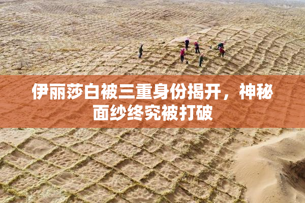 伊丽莎白被三重身份揭开，神秘面纱终究被打破