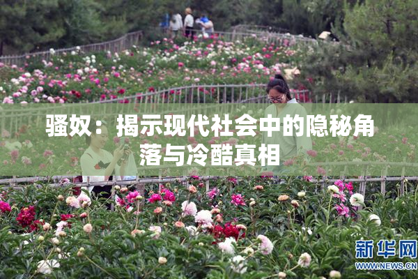 骚奴：揭示现代社会中的隐秘角落与冷酷真相