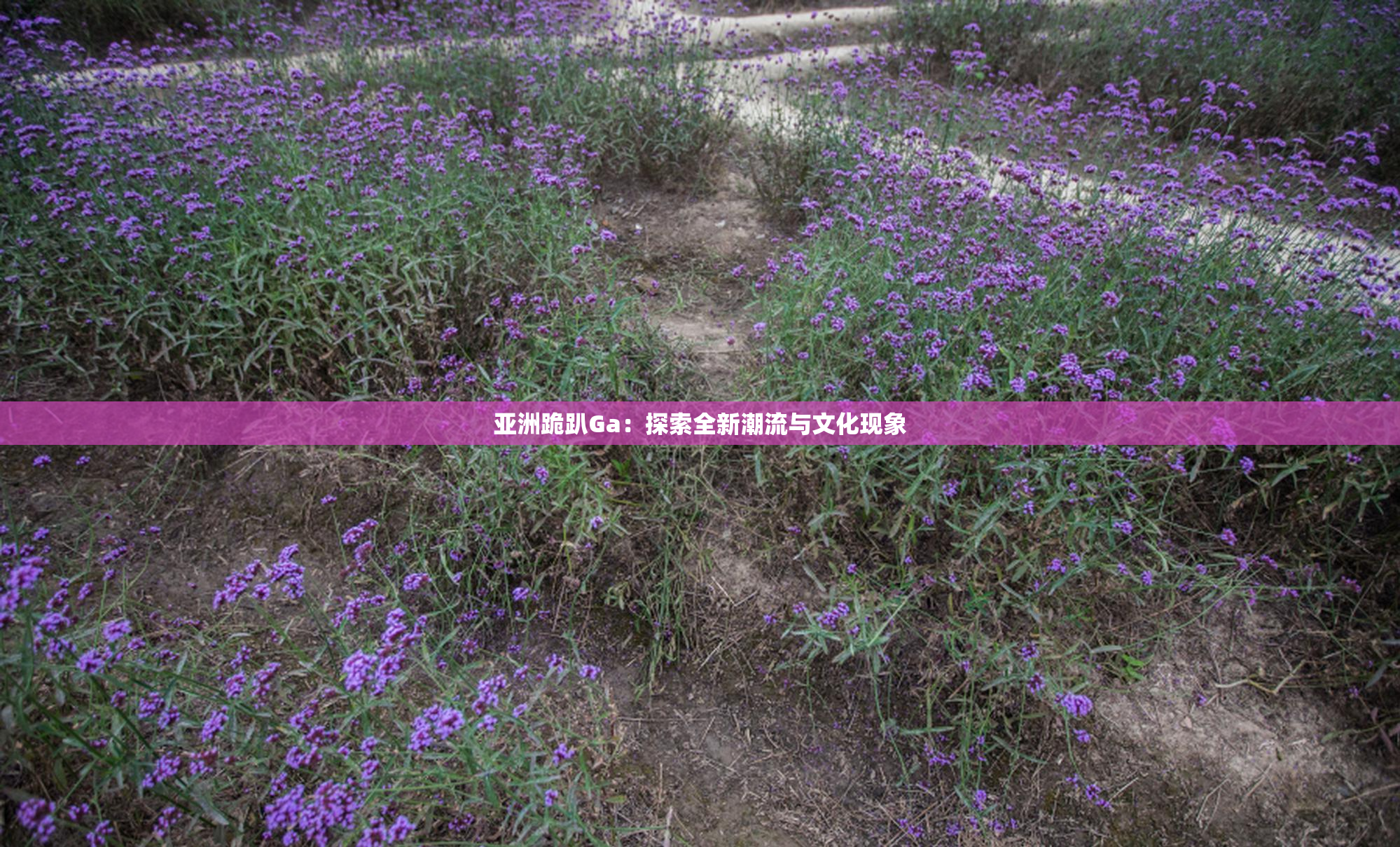 亚洲跪趴Ga：探索全新潮流与文化现象