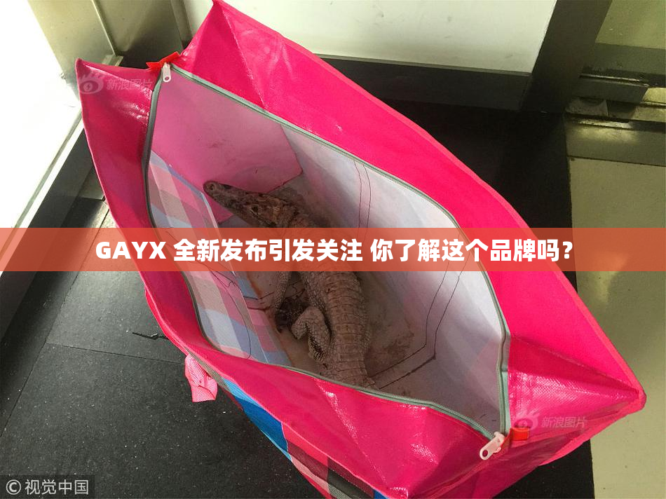 GAYX 全新发布引发关注 你了解这个品牌吗？