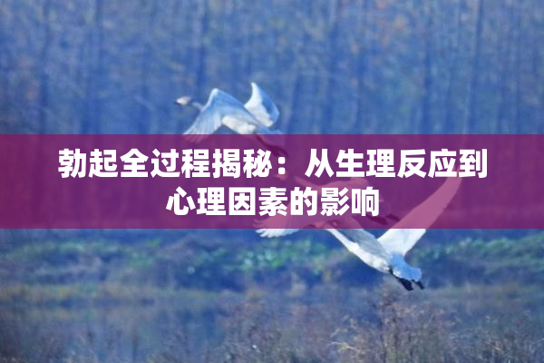 勃起全过程揭秘：从生理反应到心理因素的影响