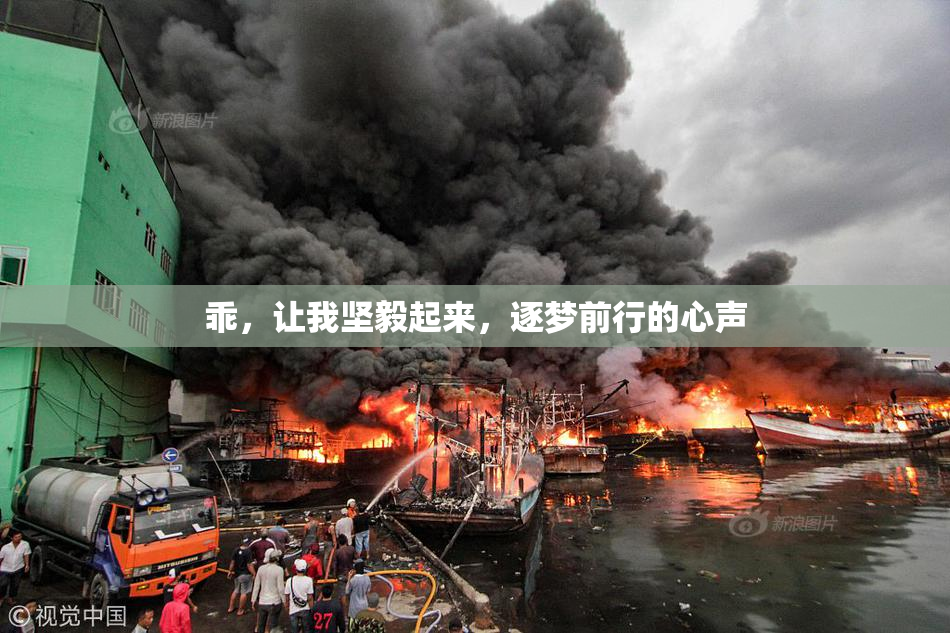 乖，让我坚毅起来，逐梦前行的心声