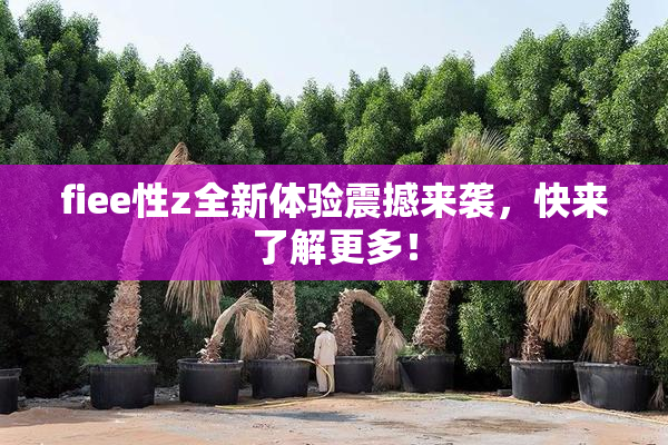 fiee性z全新体验震撼来袭，快来了解更多！
