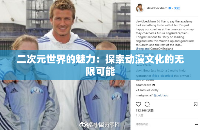 二次元世界的魅力：探索动漫文化的无限可能