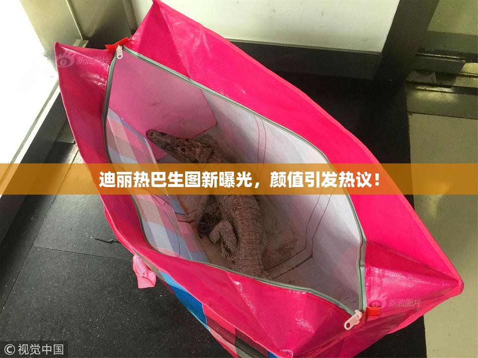 迪丽热巴生图新曝光，颜值引发热议！