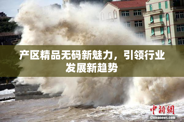 产区精品无码新魅力，引领行业发展新趋势